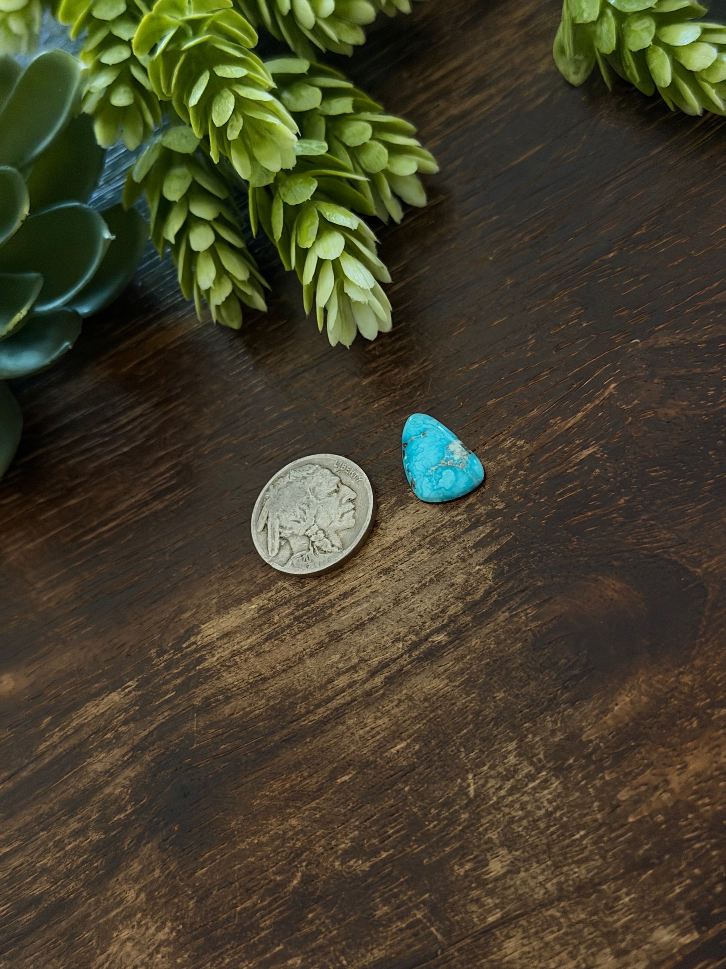 Blue Bird Turquoise Cab