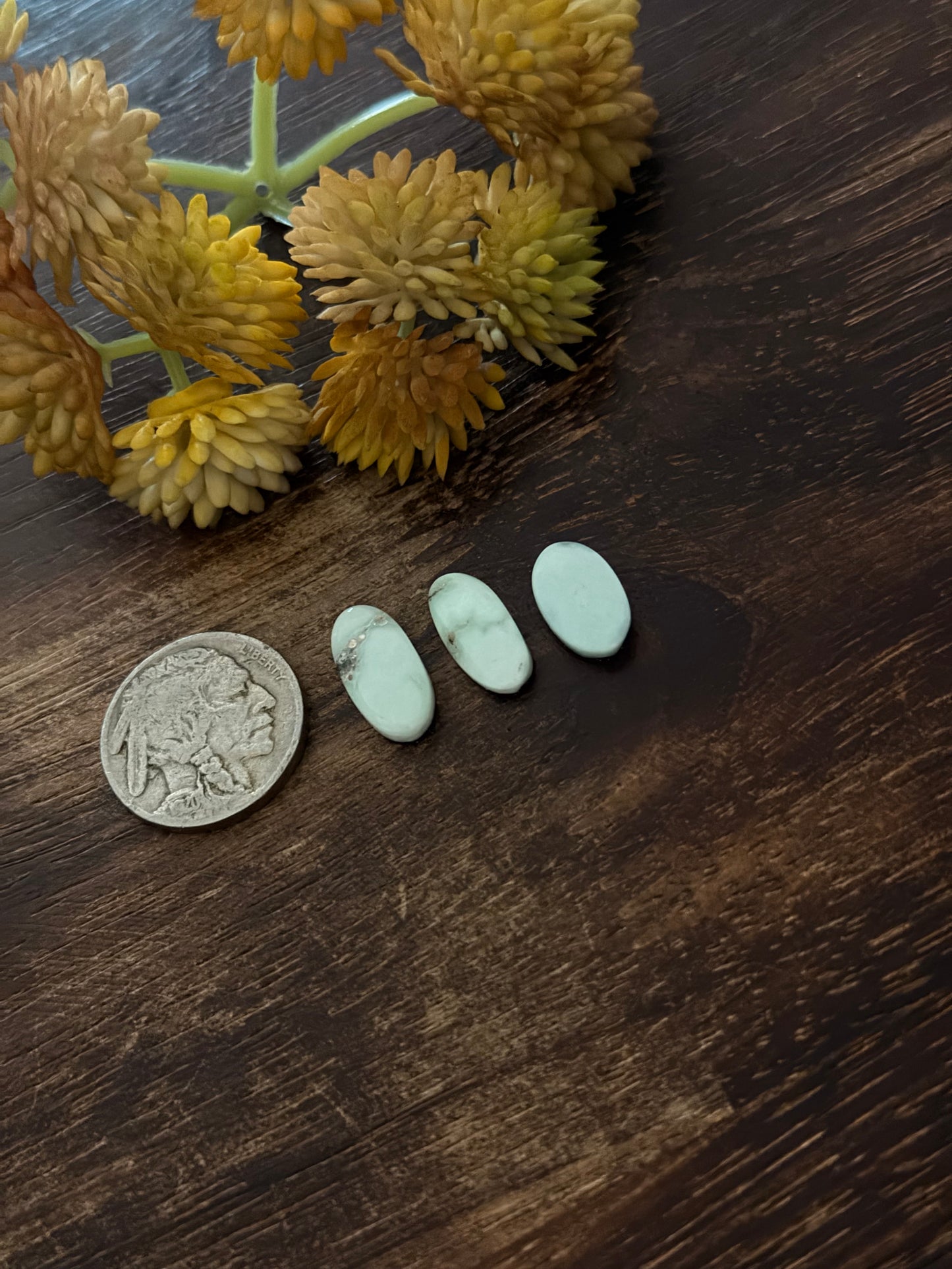 Paloma Variscite Cabs