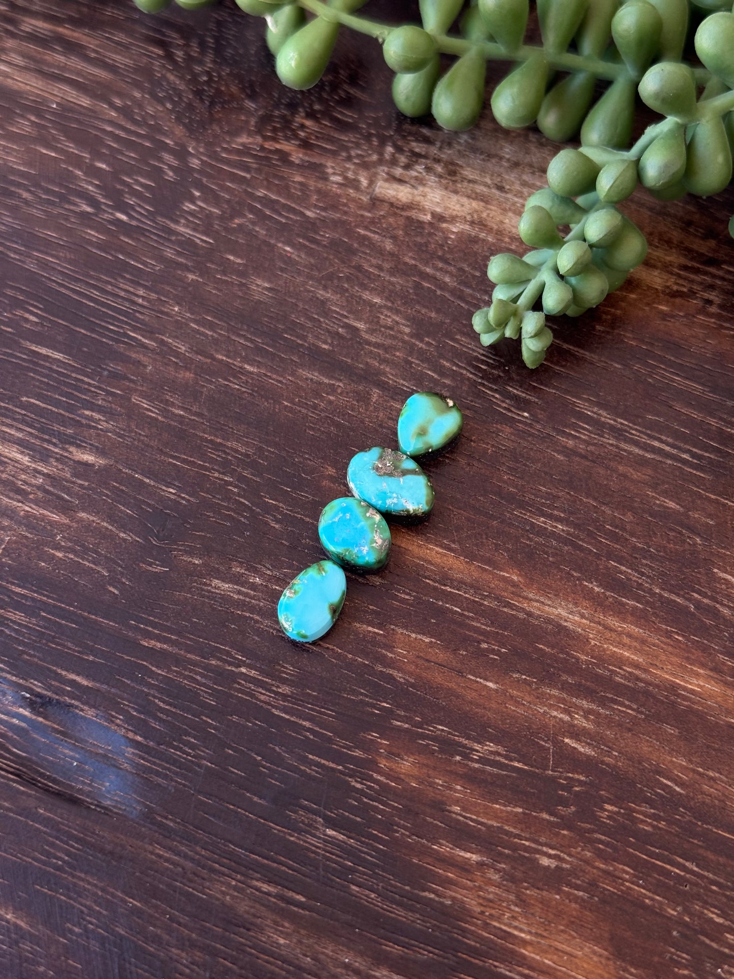 Sonoran Mountain Turquoise Cabs