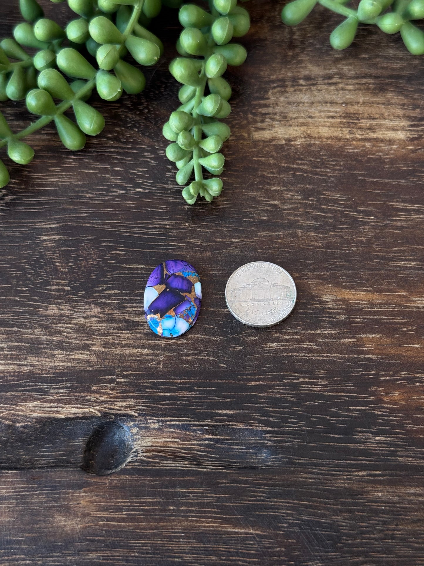 Purple Dahlia Composite Cabs