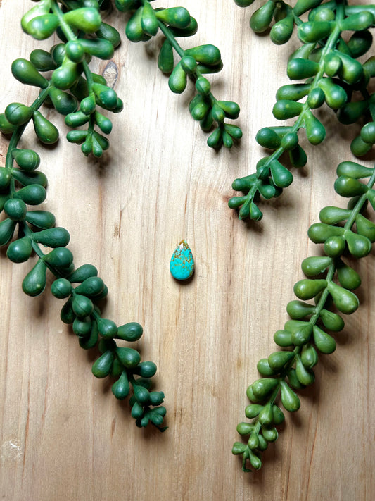 Kingman Turquoise Cab