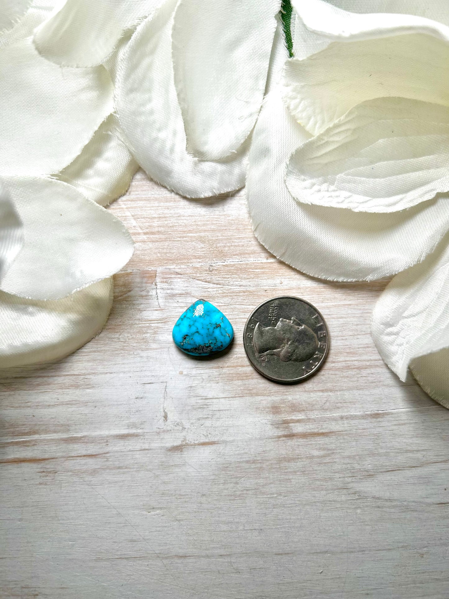 Blue Ridge Turquoise Cab