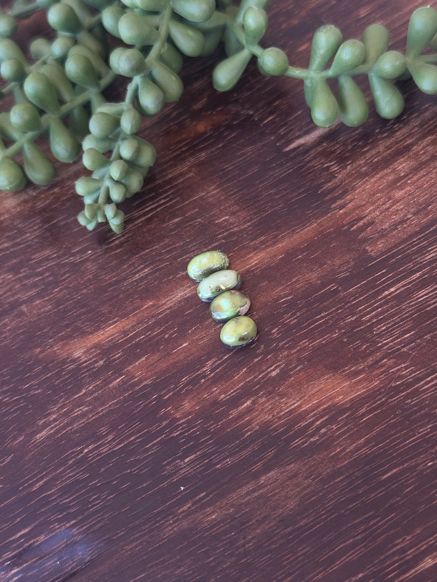 Sonoran Mountain Turquoise Cabs