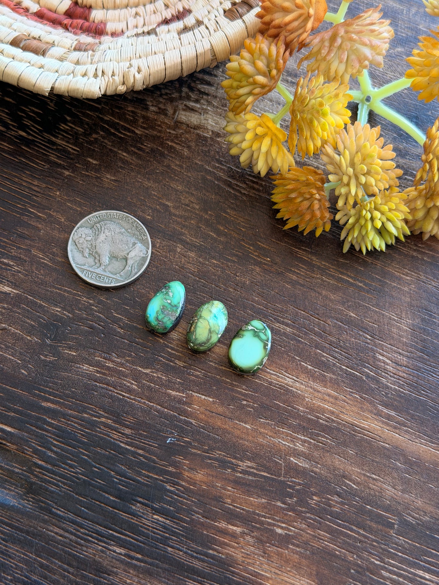 Sonoran Mountain Turquoise Cabs