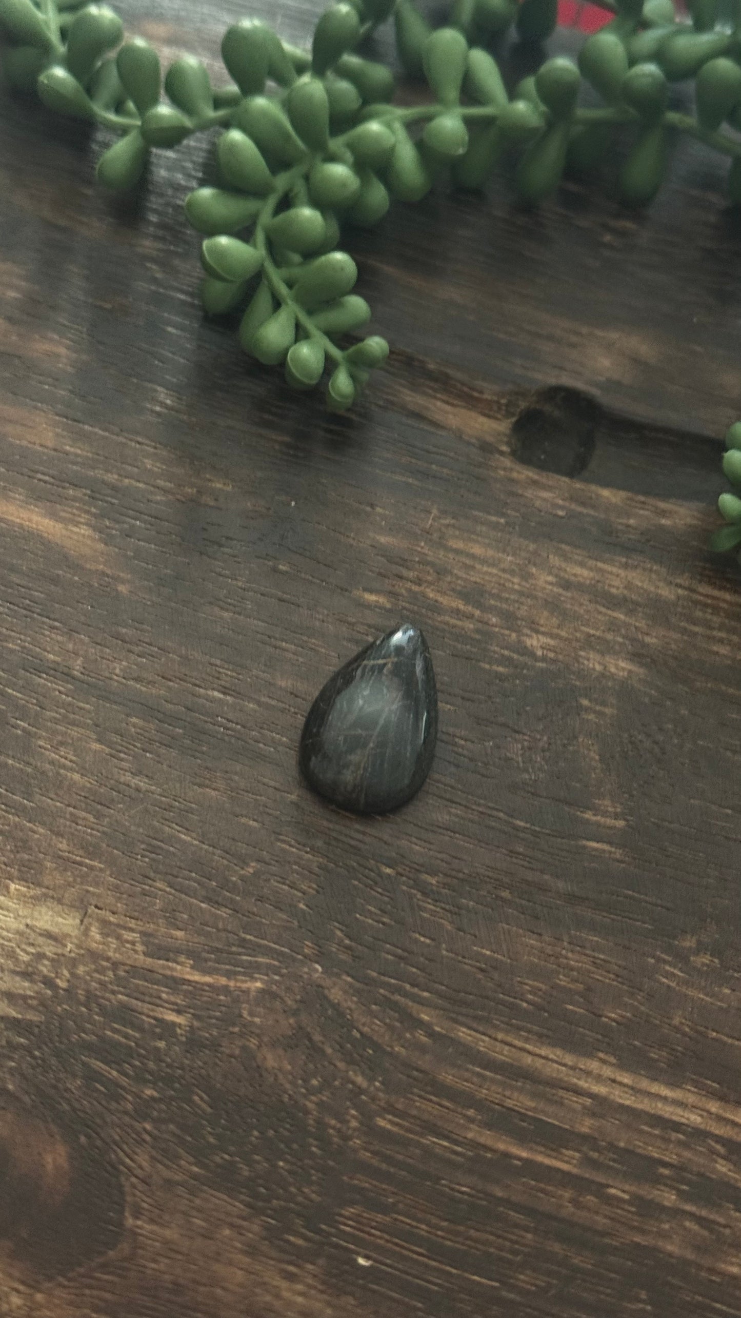 Black Jack Turquoise Cab