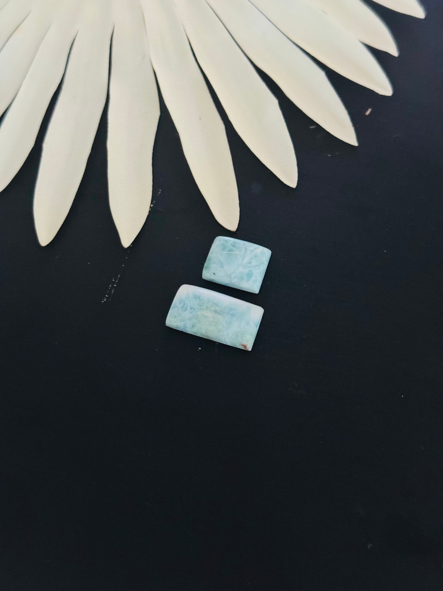 Larimar Cabs