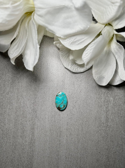 Kingman Turquoise Cab