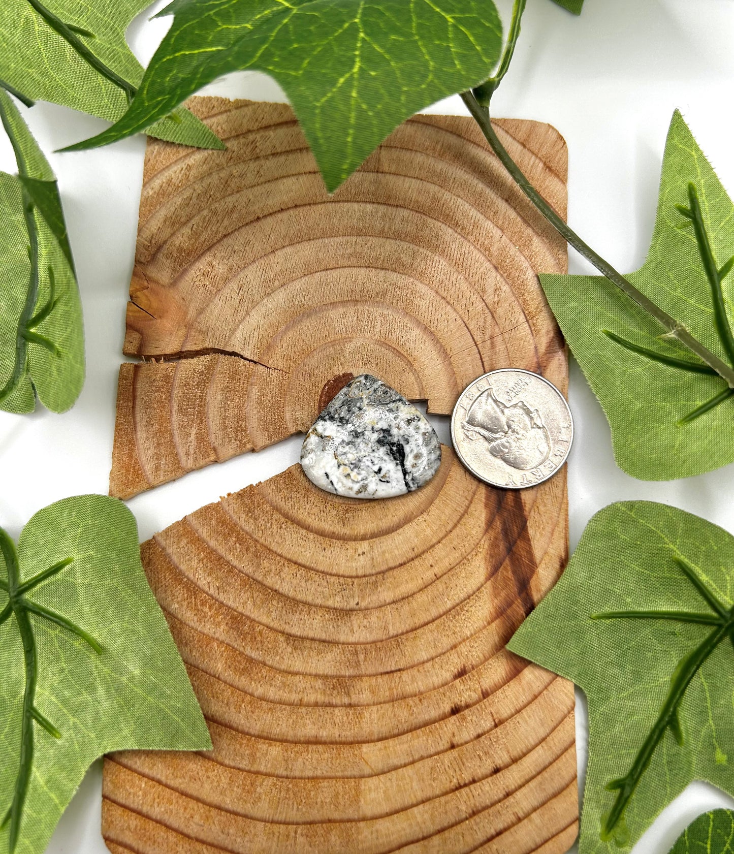 White Buffalo Cabs