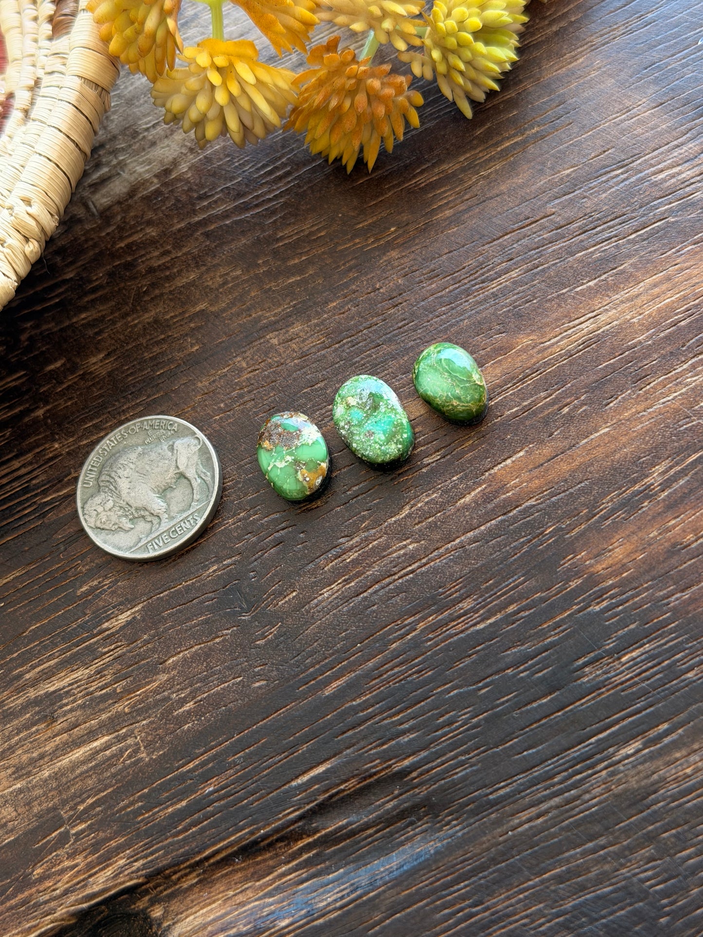 Sonoran Mountain Turquoise Cabs