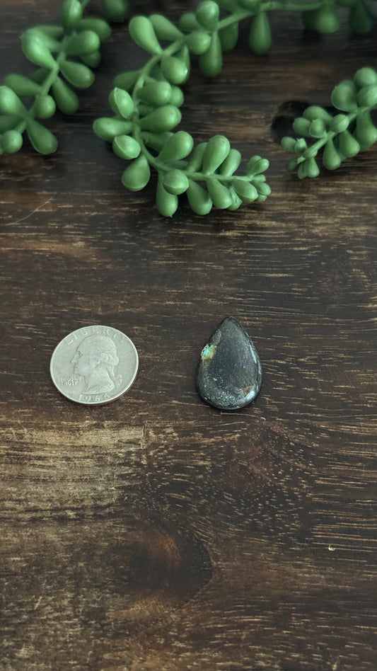 Black Jack Turquoise Cab