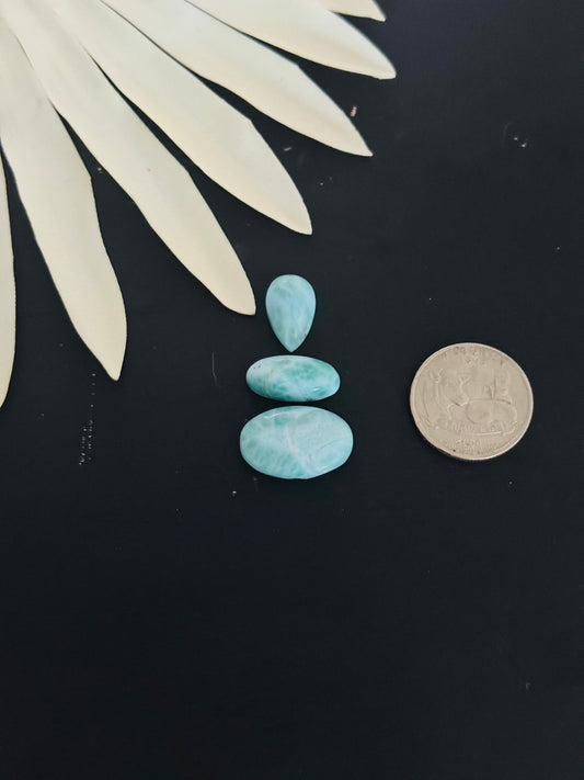 Larimar Cabs