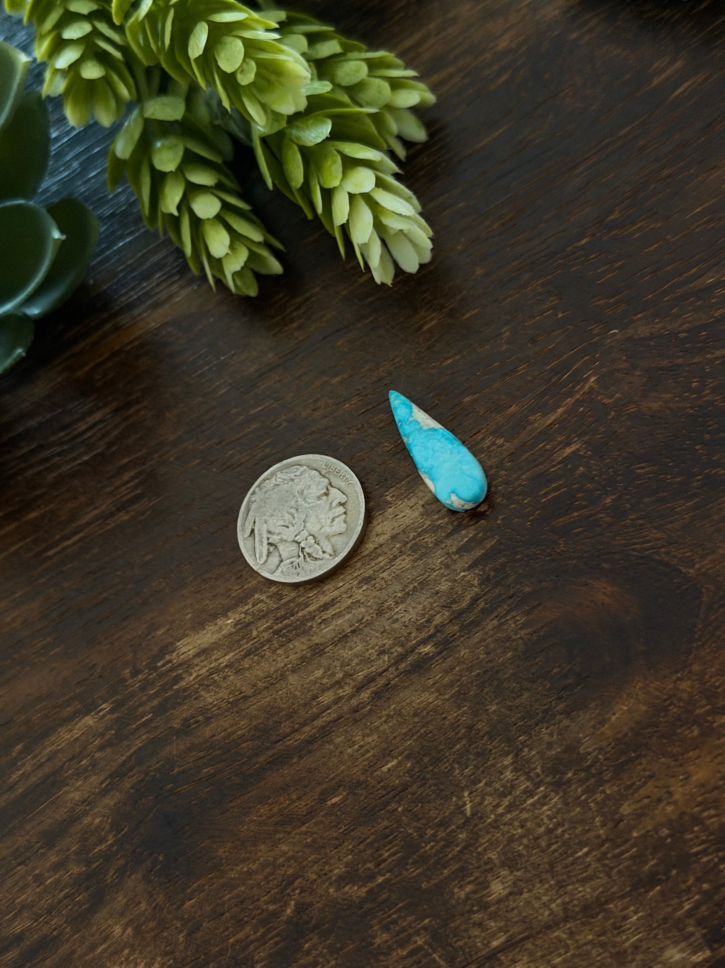 Blue Bird Turquoise Cab