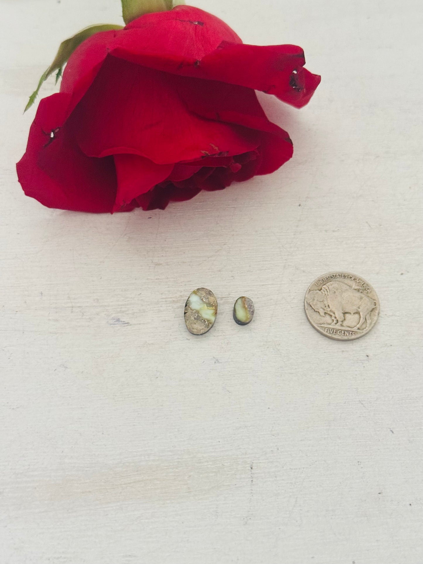 Palomino Variscite Cabs