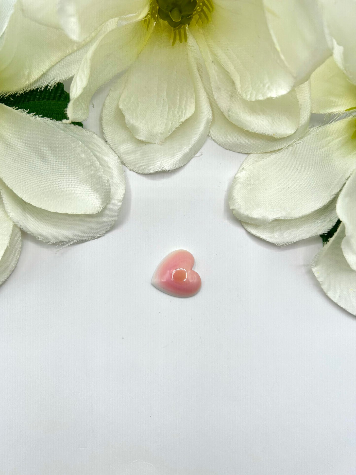 Pink Conch Cab