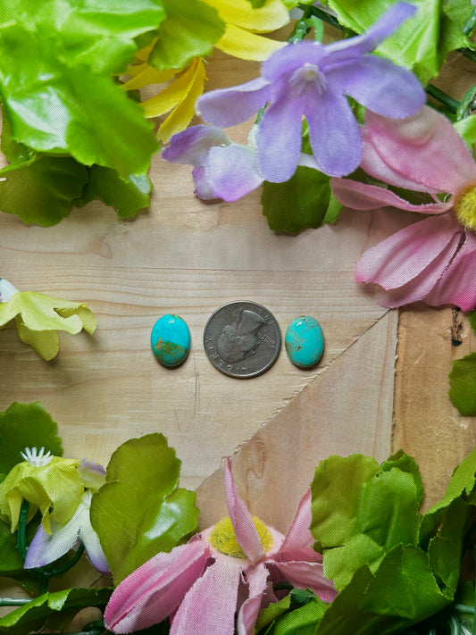 Kingman Turquoise Cabs