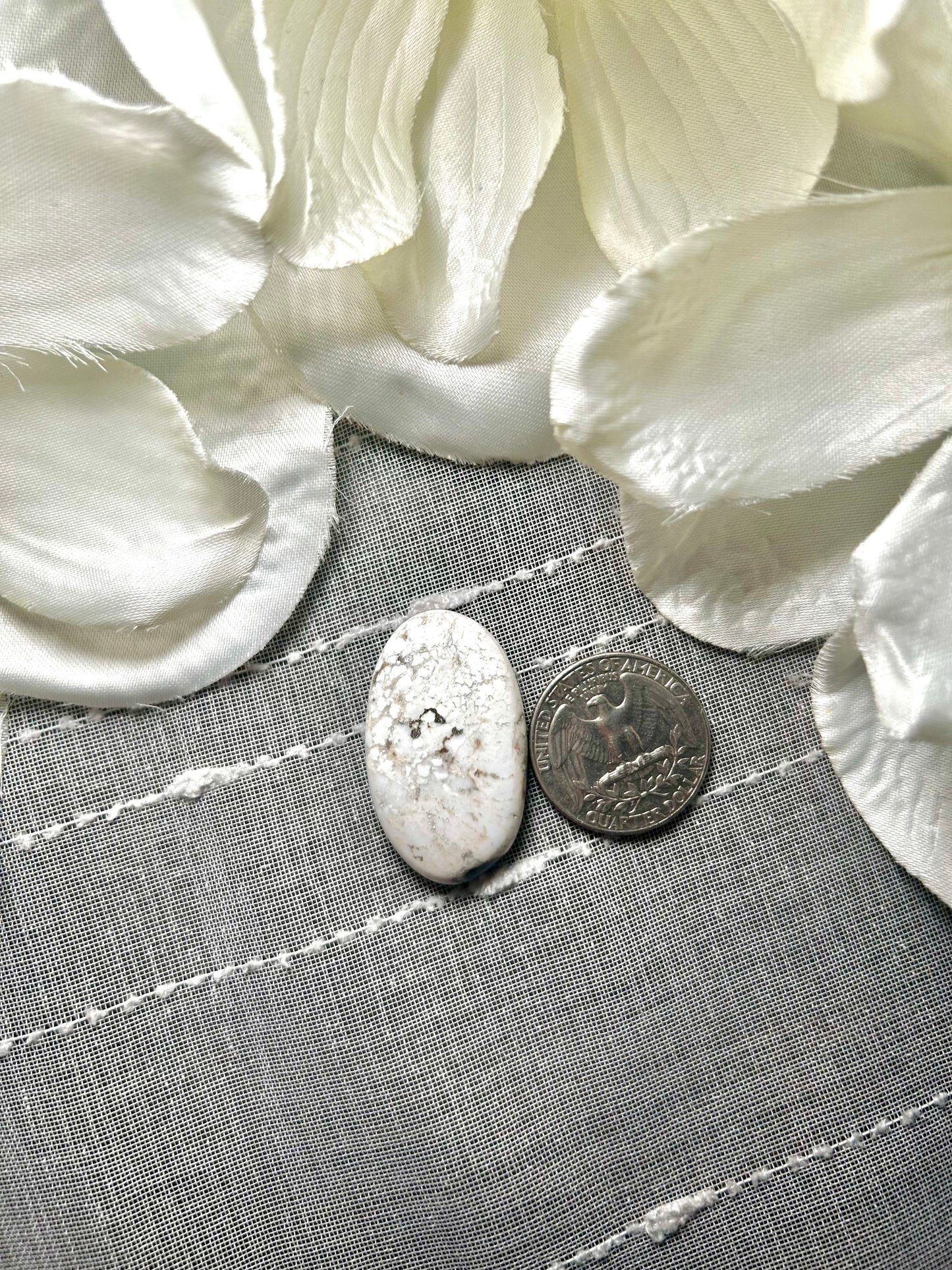 White Buffalo Cabs