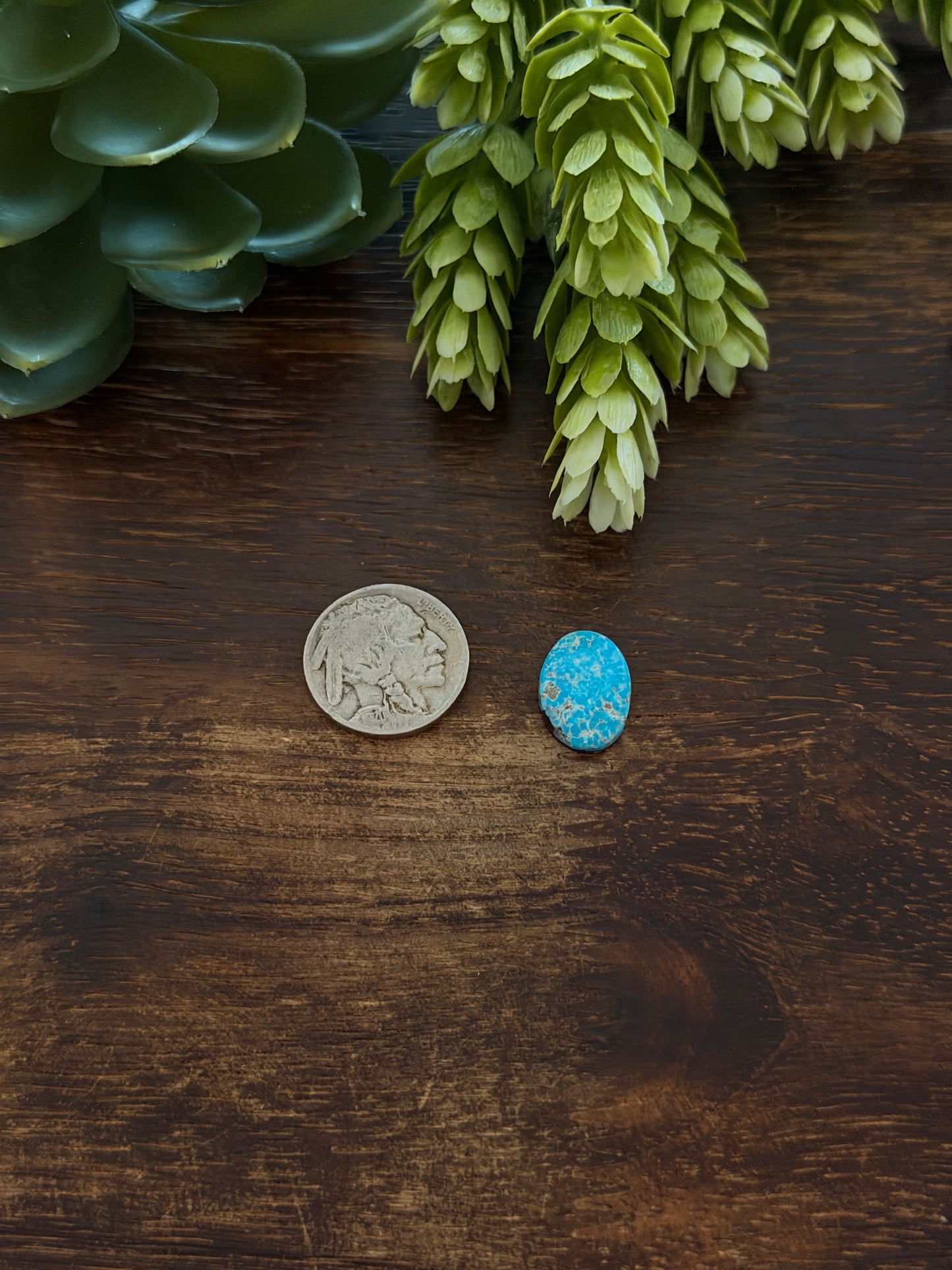 Blue Bird Turquoise Cab