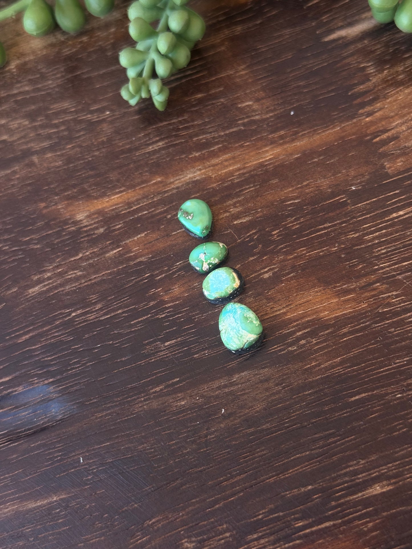 Sonoran Mountain Turquoise Cabs