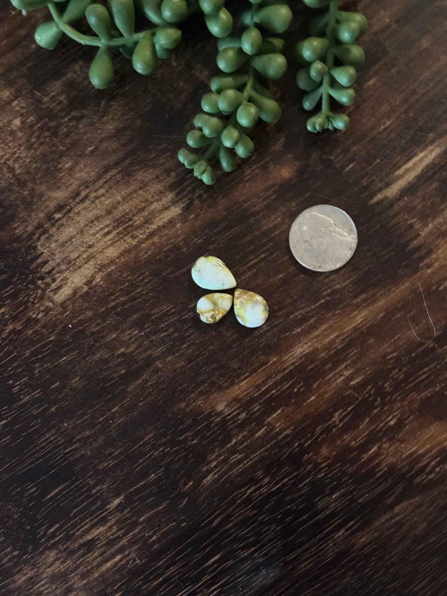 Palomino Variscite Cabs