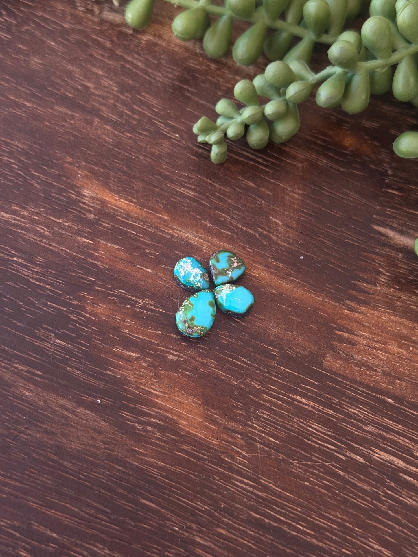 Sonoran Mountain Turquoise Cabs