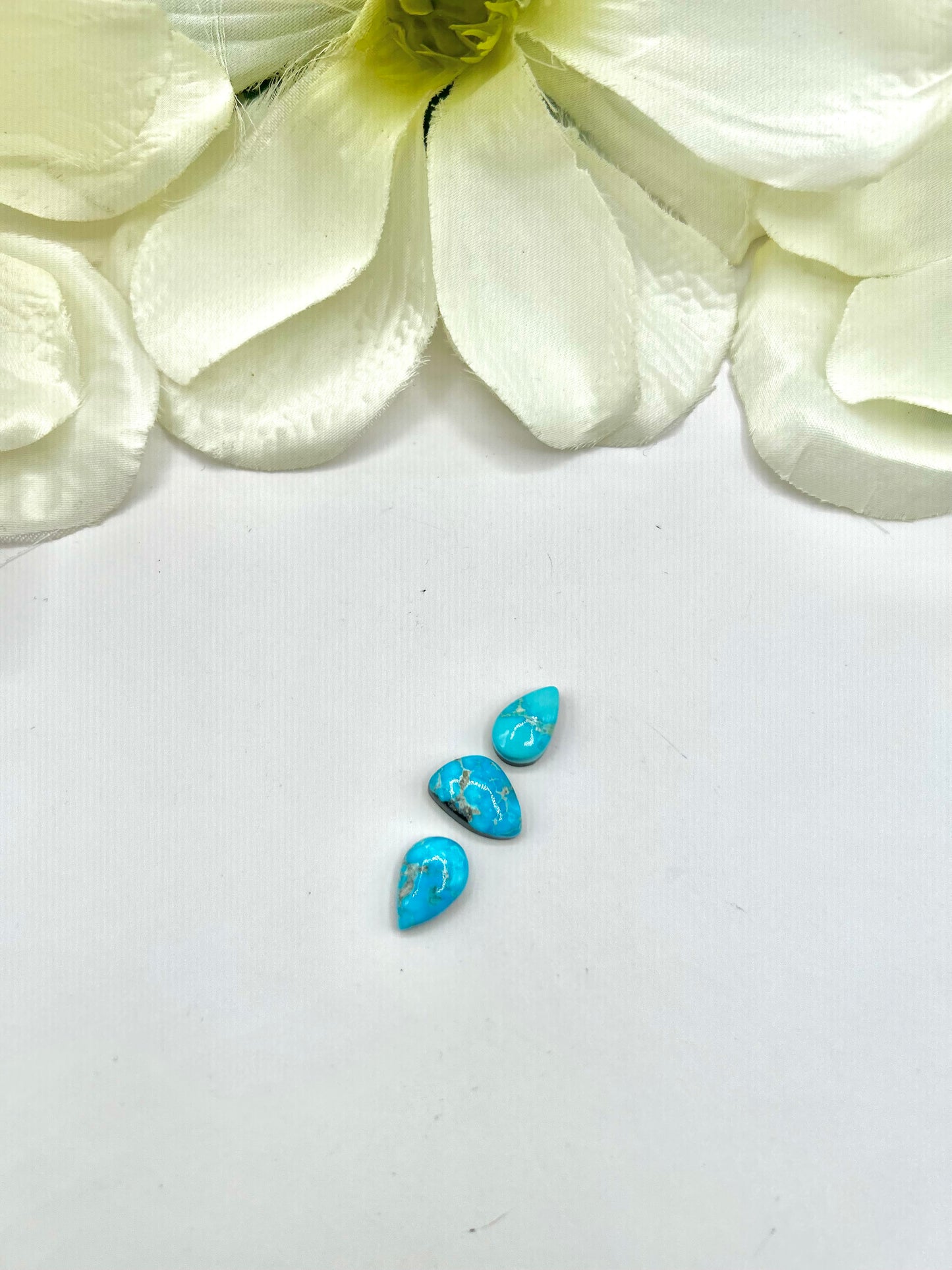 Blue Ridge Turquoise Cabs
