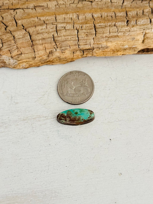 Natural Kings Manassa Turquoise Cab