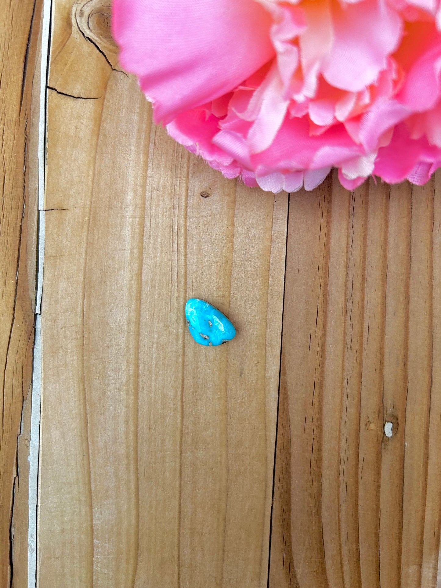 Blue Bird Turquoise Cabs