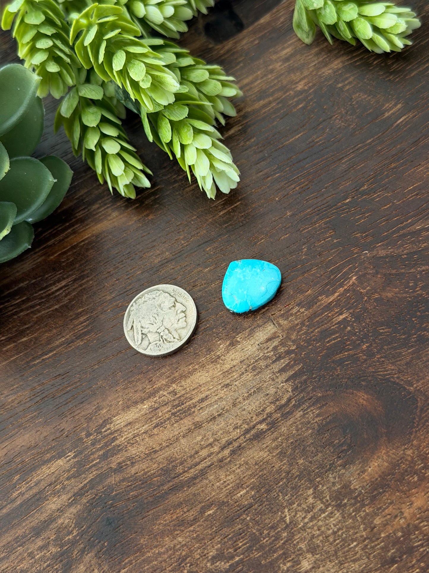 Blue Bird Turquoise Cab
