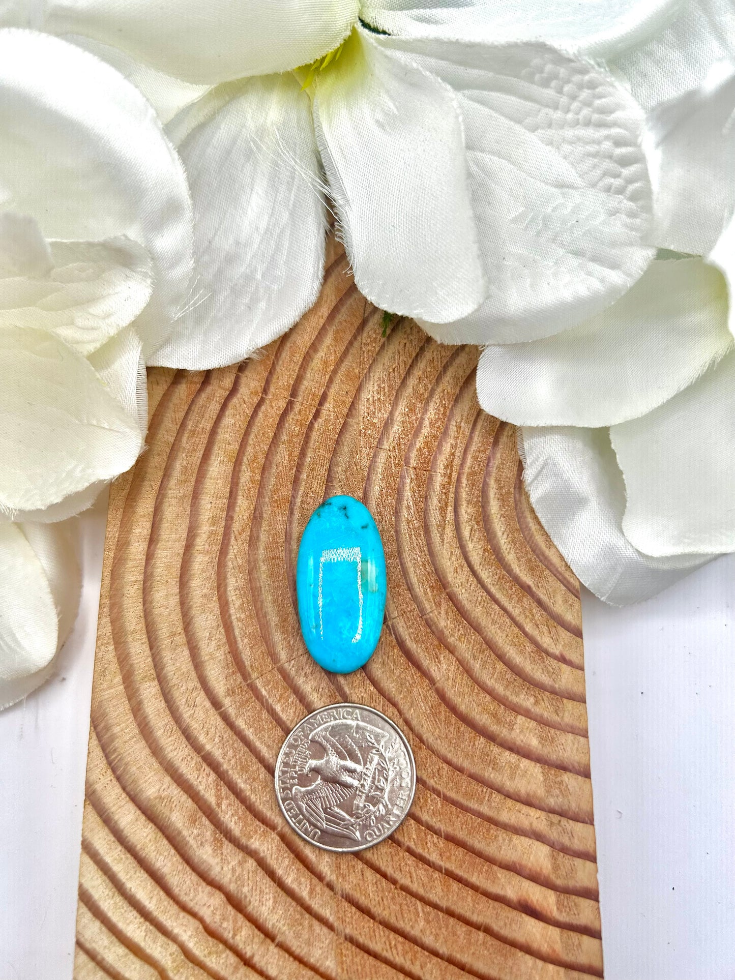 Kingman Turquoise Cab