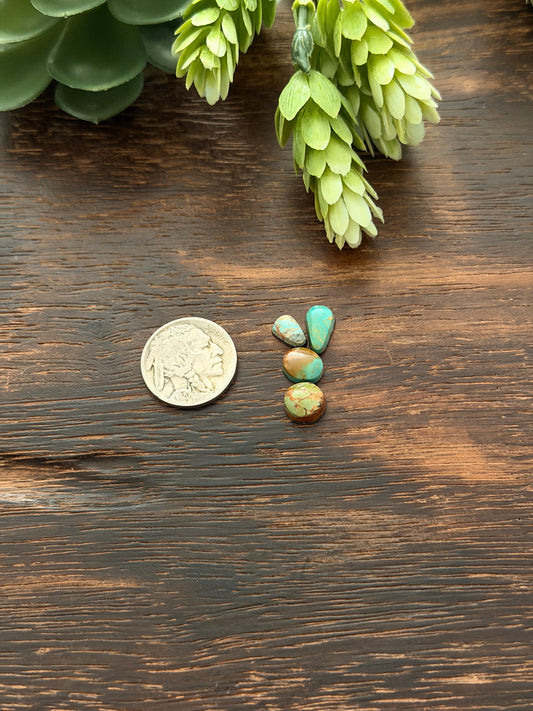 Evans Turquoise Cabs