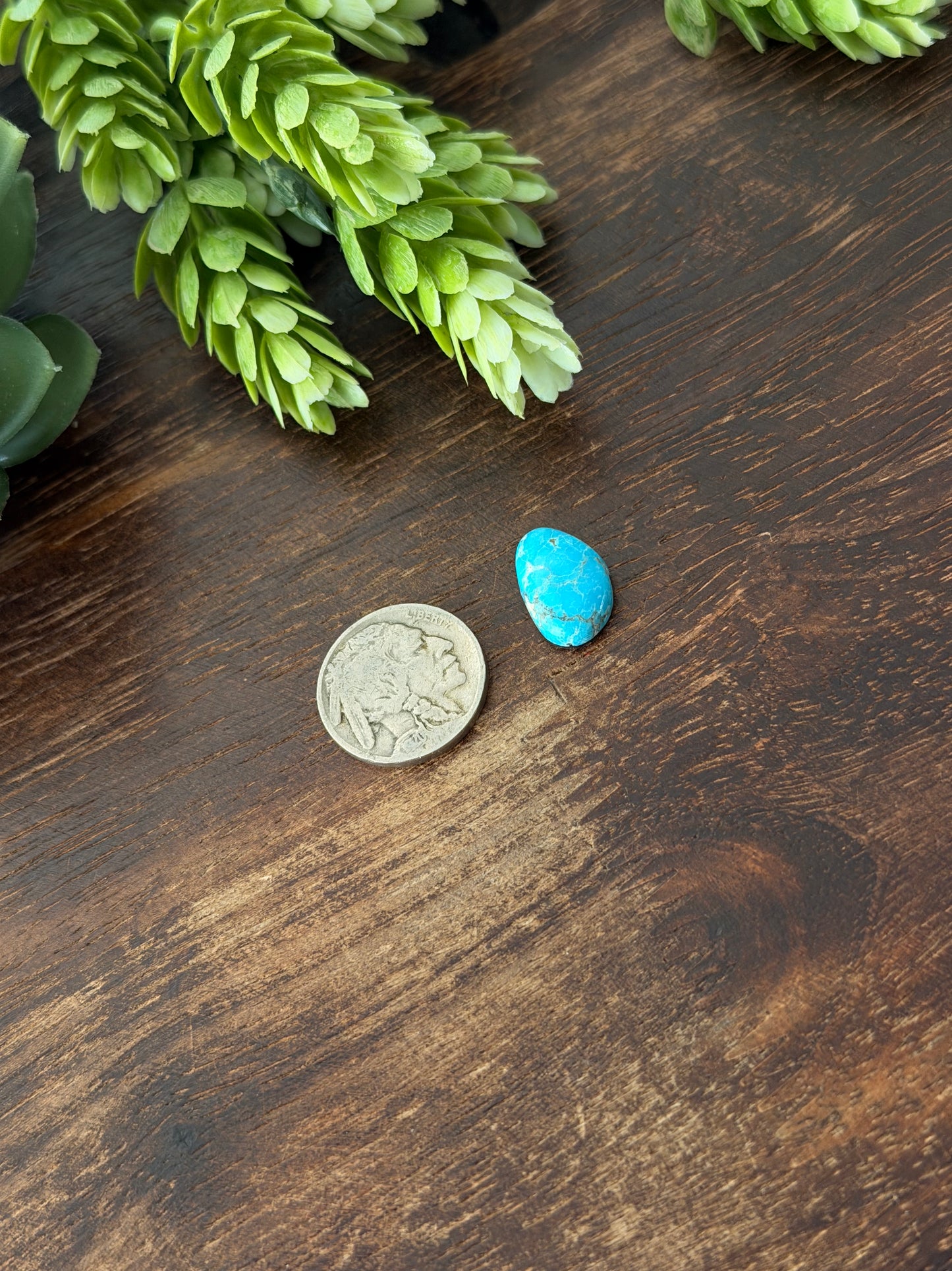 Blue Bird Turquoise Cab