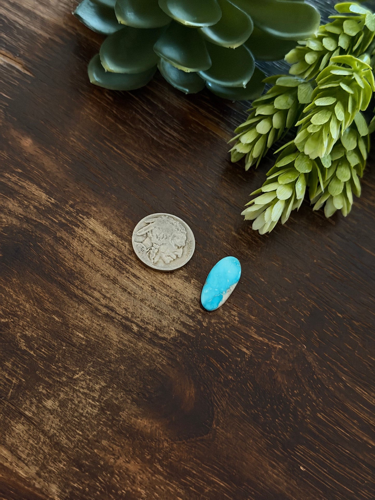 Blue Bird Turquoise Cab