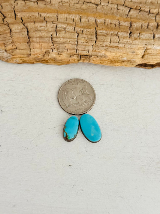 Natural Kings Manassa Turquoise Cabs