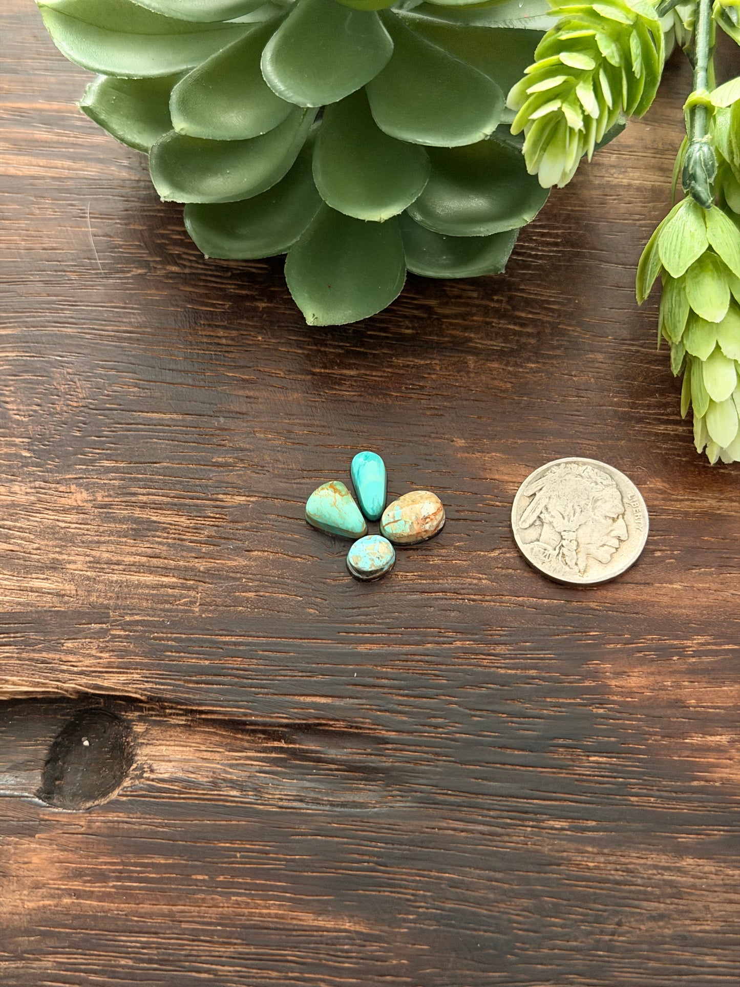 Evans Turquoise Cabs