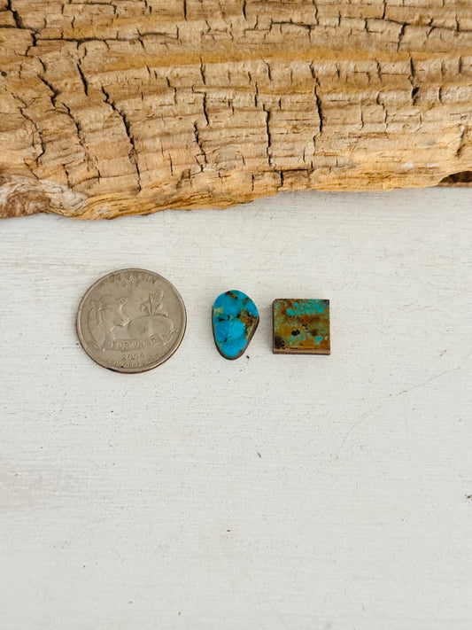 Natural Kings Manassa Turquoise Cabs