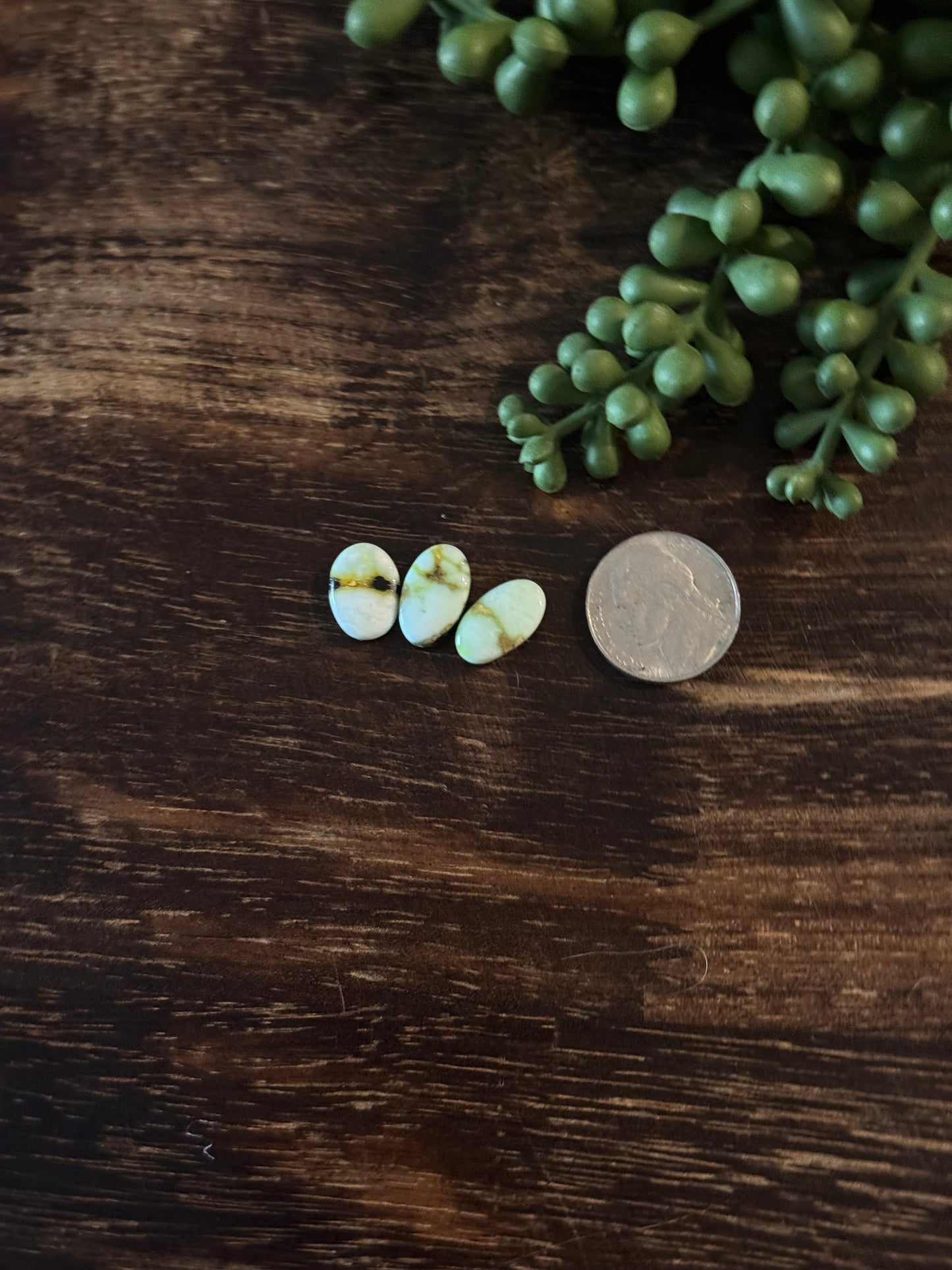Palomino Variscite Cabs