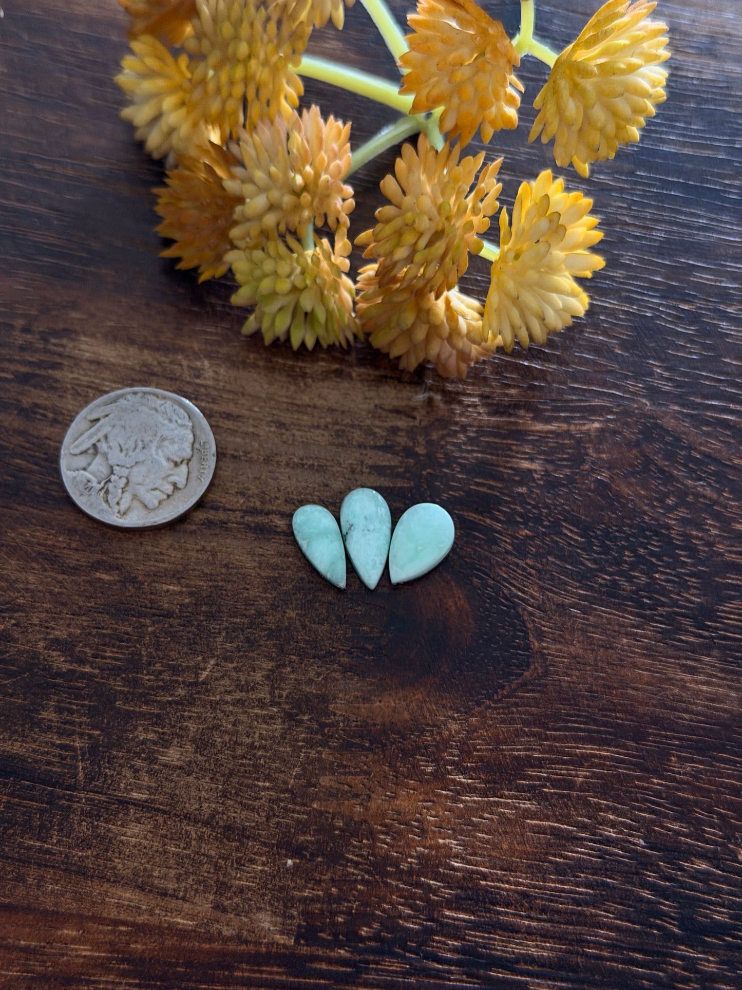 Paloma Variscite Cabs