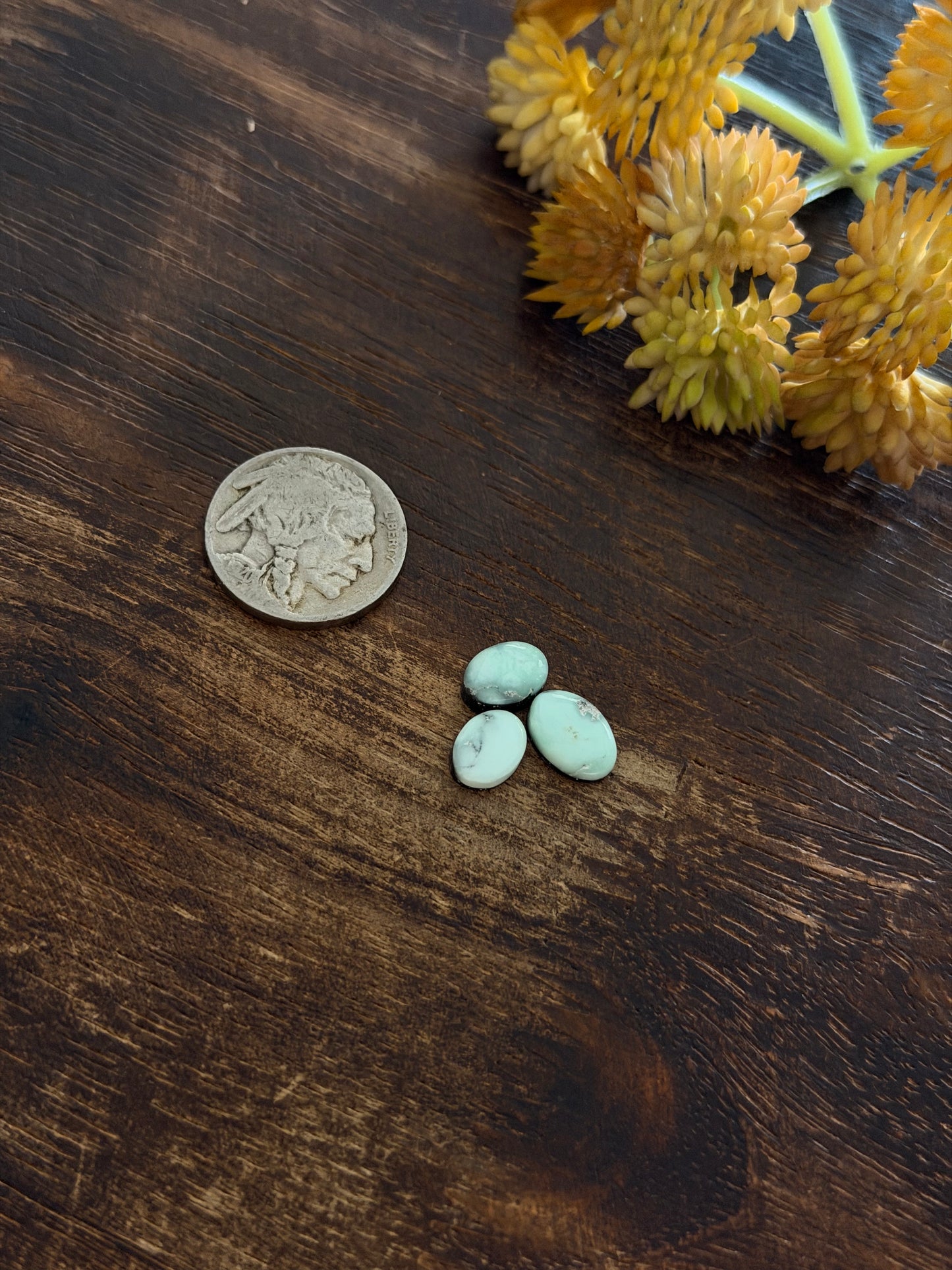Paloma Variscite Cabs
