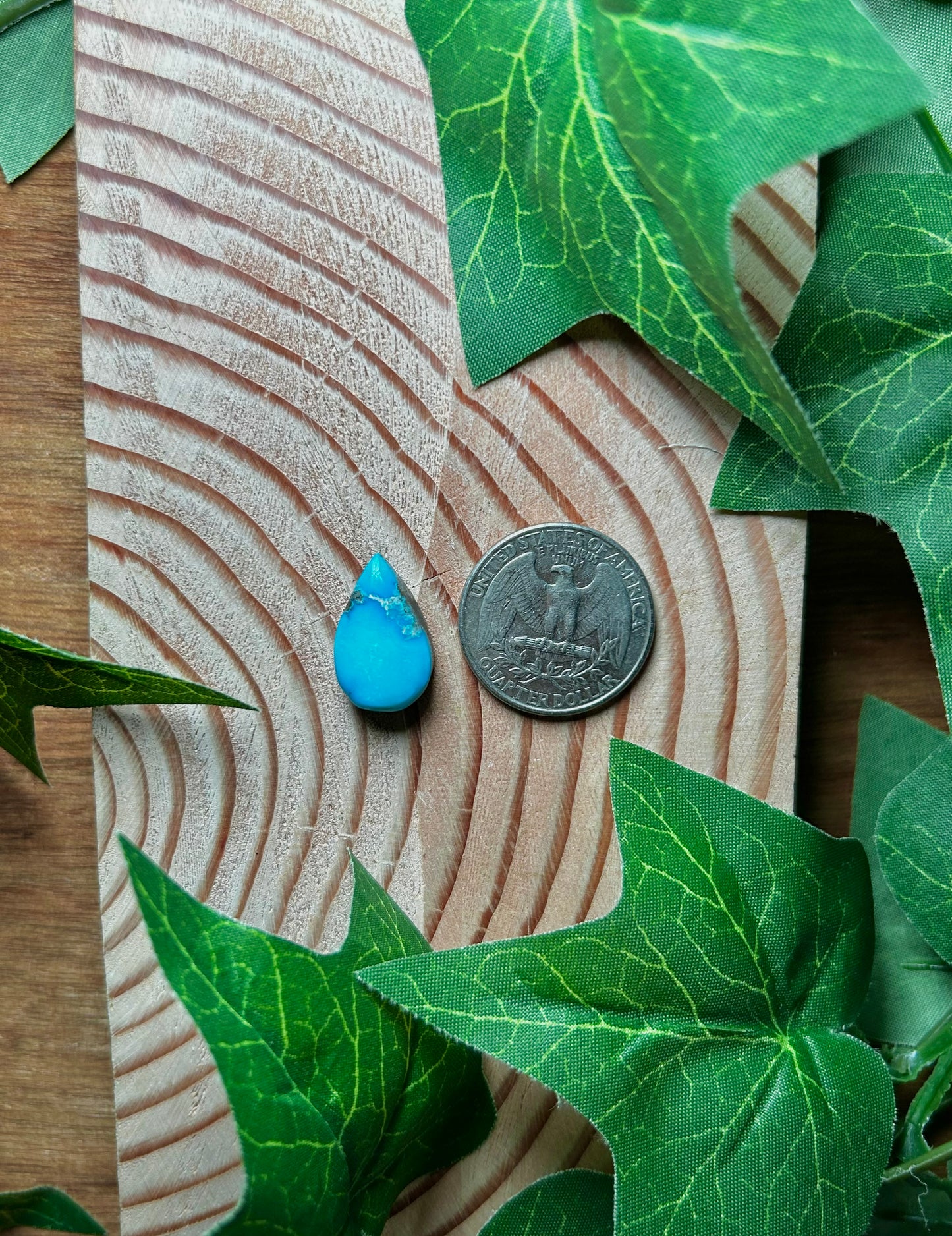 Blue Bird Turquoise Cabs