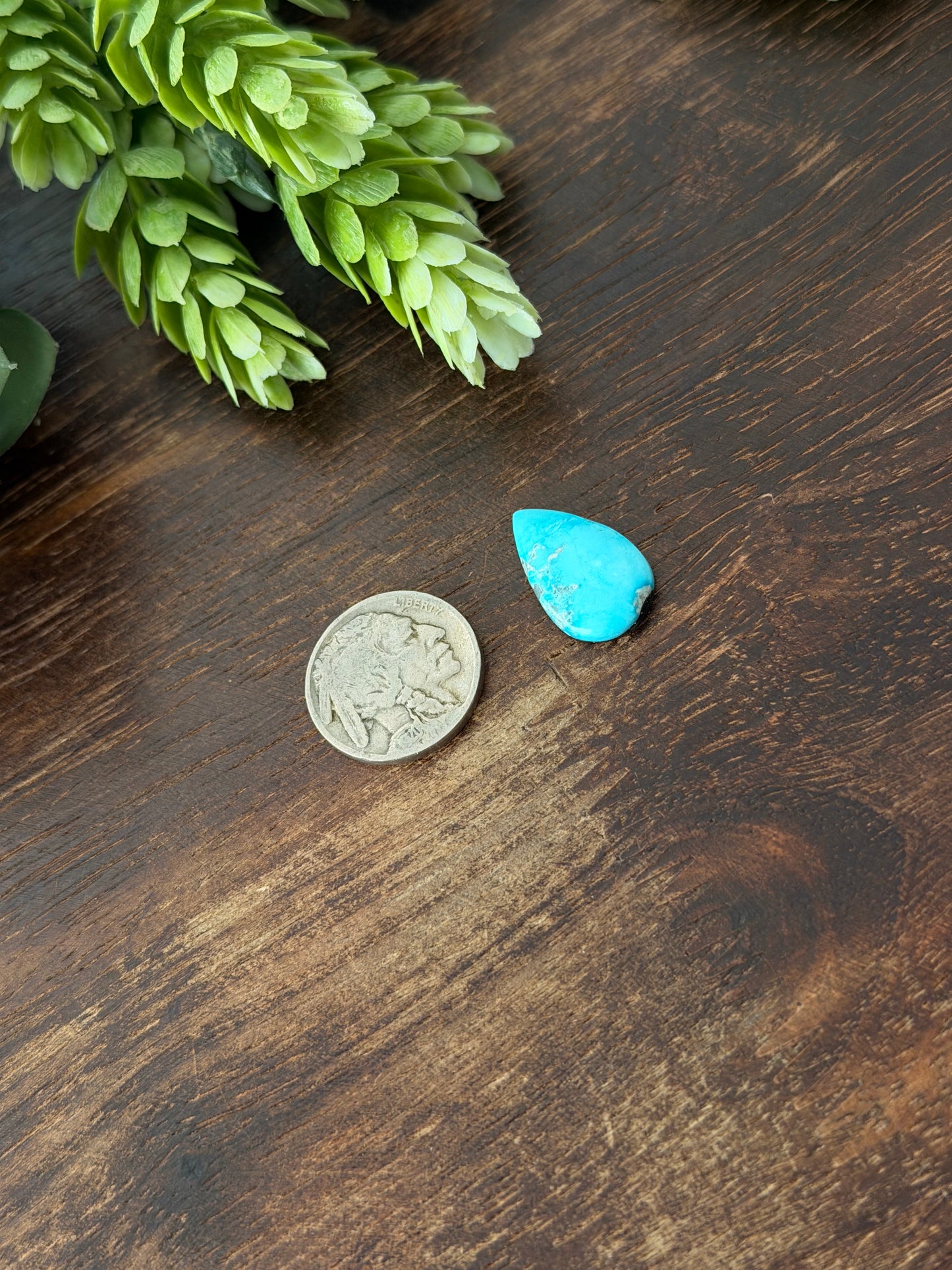 Blue Bird Turquoise Cab