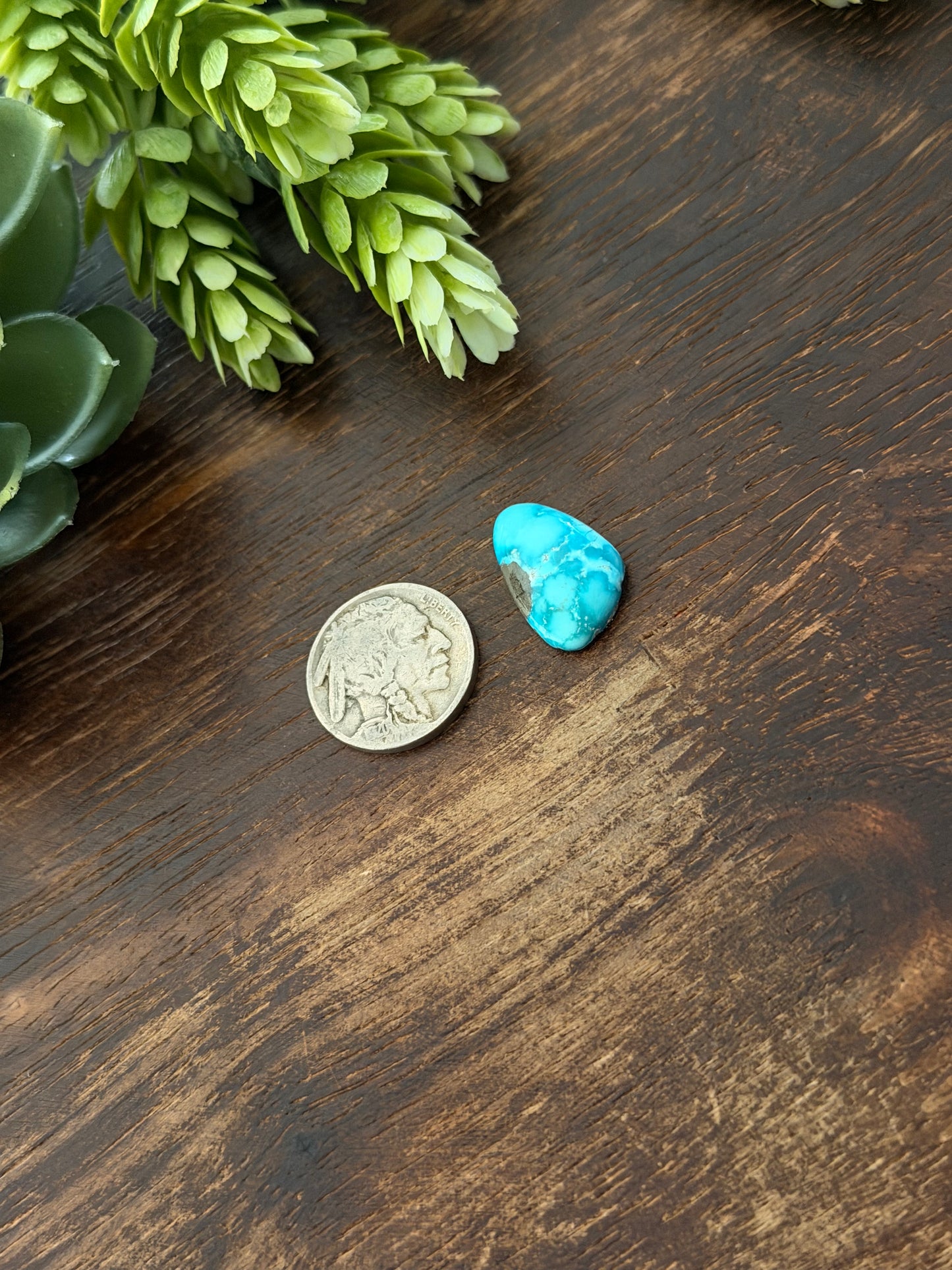 Blue Bird Turquoise Cab