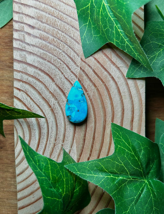 Blue Bird Turquoise Cabs