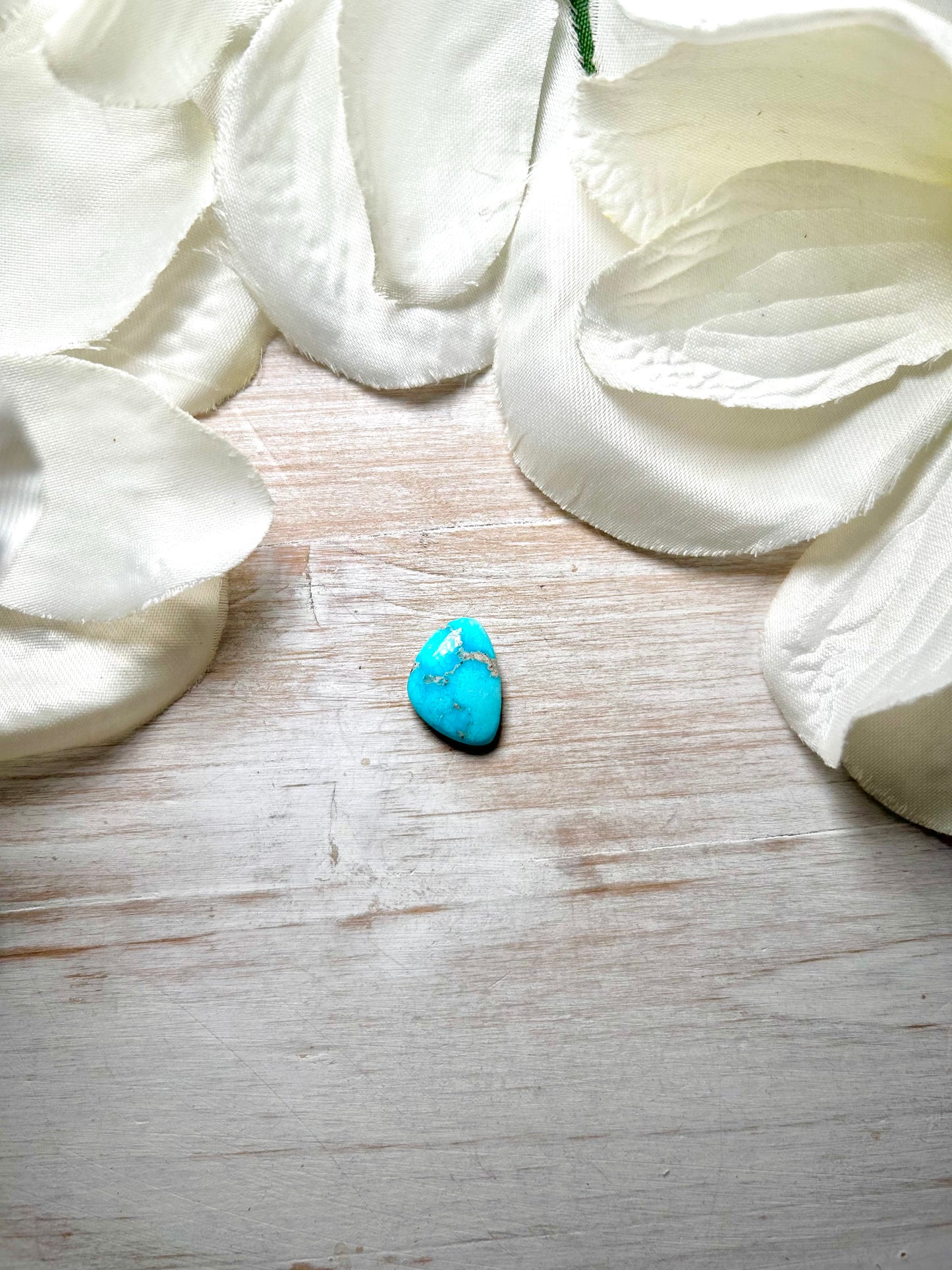 Blue Ridge Turquoise Cab