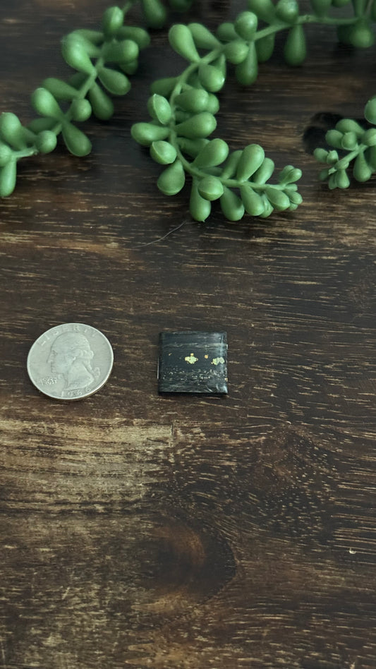 Black Jack Turquoise Cab