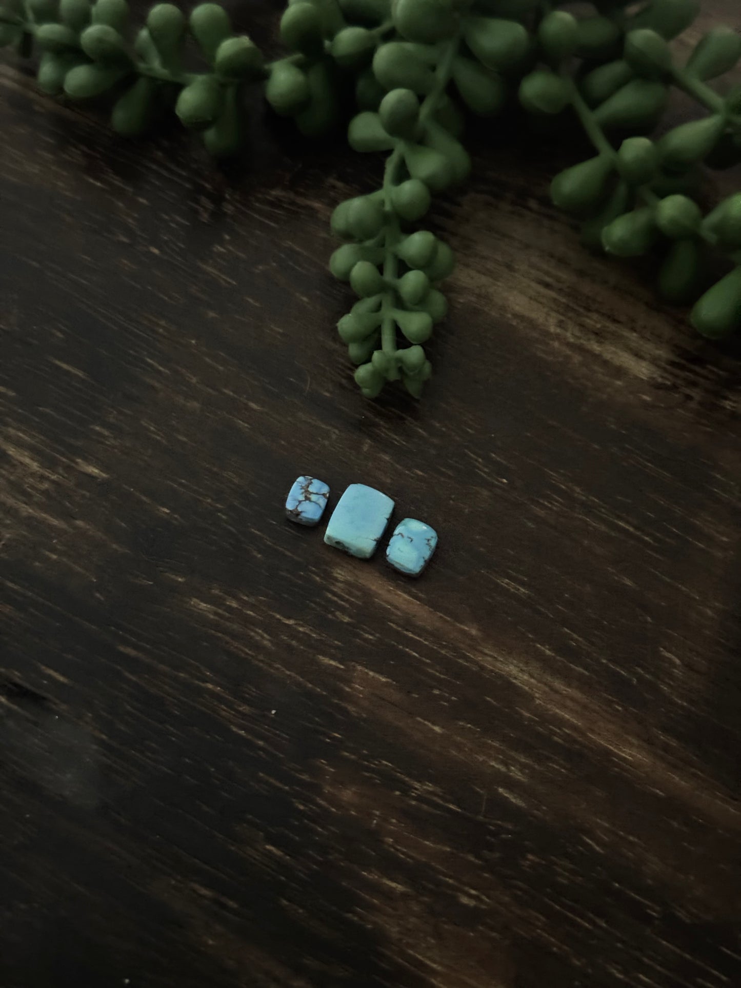 Golden Hills Turquoise Cabs