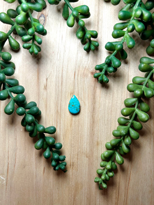 Kingman Turquoise Cab