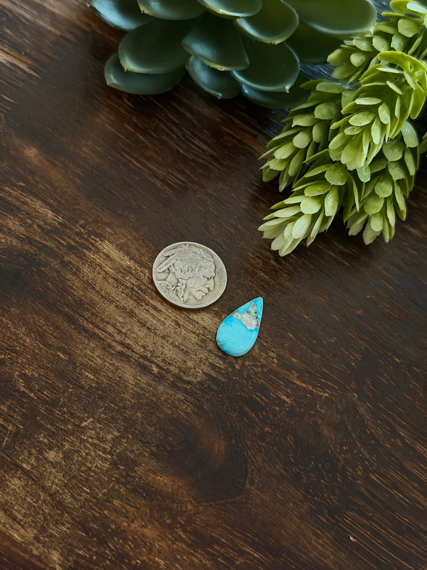 Blue Bird Turquoise Cab