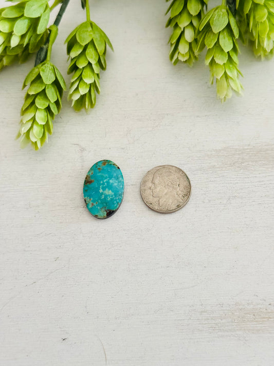 Kingman Turquoise Cab
