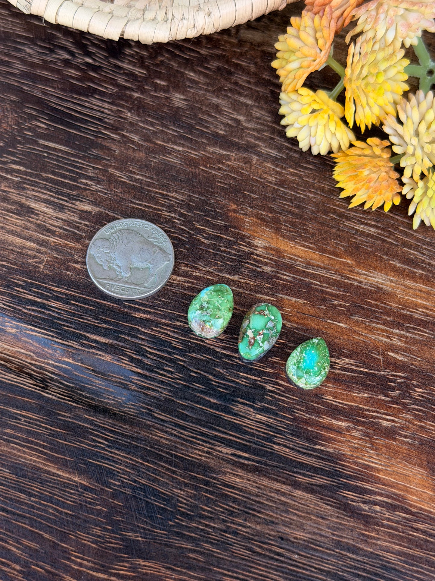 Sonoran Mountain Turquoise Cabs