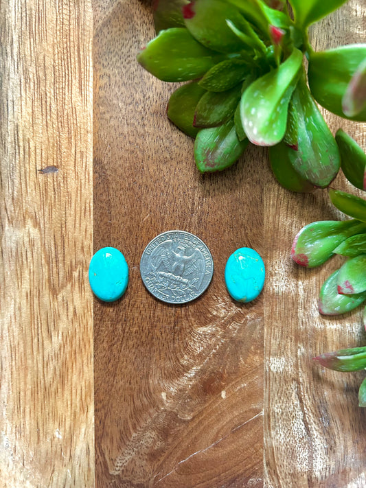 Kingman Turquoise Cabs